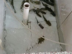 android_upload_pic-四季园农家乐
