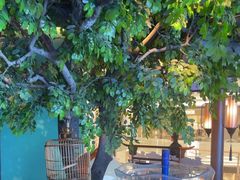 -佬麻雀·剁椒鱼头(京基KK One店)