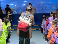 -重庆欢乐海底世界