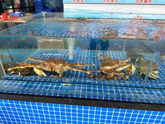 帝王蟹-红月湾海鲜饭店•沙滩海景(双月湾店)