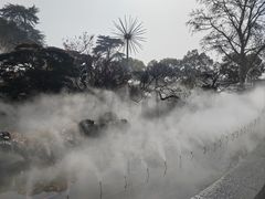 -莫愁湖公园