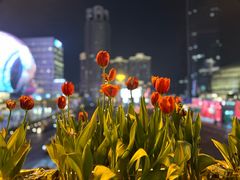 -美罗城