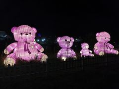 -大塘金香草谷
