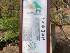 -北京鹫峰国家森林公园