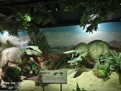 -国家自然博物馆