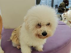 -怪兽屋·羊驼·猫咖·狗咖(俊华广场店)