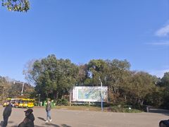 -上海海湾国家森林公园