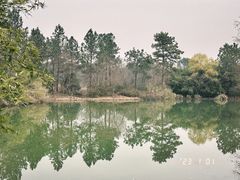 -西溪国家湿地公园