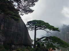 -黄山风景区