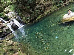 iphone_upload_pic-鼎湖山风景区