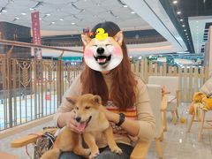 -柴犬小屋·柴餐厅·狗咖食堂(金鼎广场店)