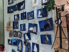 -PET WISH宠物愿望(BFC外滩金融中心店)