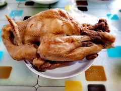 -马家老鸡店