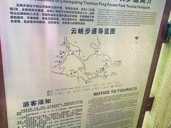 -铁山坪森林公园