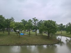 -上海滨江森林公园