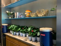 -大鸭梨烤鸭(顺义石园店)