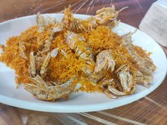 -海胆公主南澳岛美食海鲜