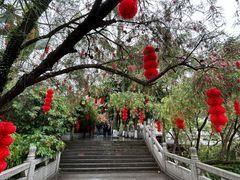 -国恩寺