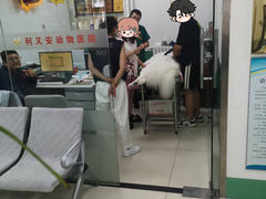 -利又安动物医院··老年病·猫科犬科·中兽医
