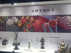 -MUSEO COFFEE咖啡博物馆