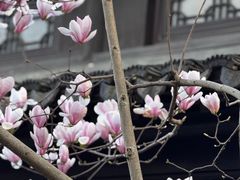 -金海华·华宴江南(斜塘店)
