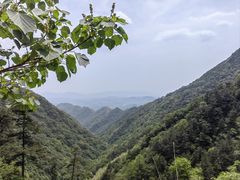 -东天目山风景区