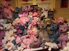 -济州岛泰迪熊博物馆