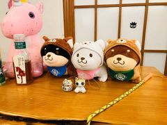 -豆柴町-柴犬主题狗咖(红鼎国际C座店)
