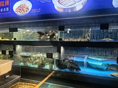 -徐记海鲜(南油永新汇店)