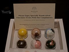 -Long Bar(莱佛士酒店)