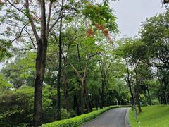 -清湖文化公园