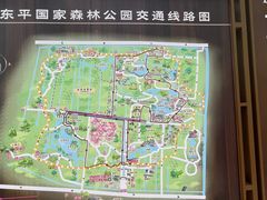 -东平国家森林公园