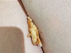 -HOT CRUSH趁热集合·现烤面包(环球港店)