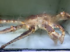 -肥弟大排档(汕樟路店)