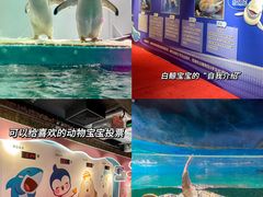 -正佳极地海洋世界