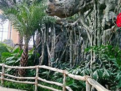 -郑州银基黄帝宫御温泉