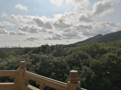 -灵谷景区