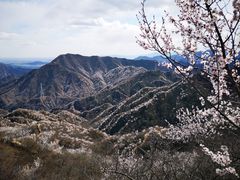 -大岭沟猕猴桃谷风景区
