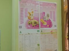 -瑞鹏宠物医院·夜间急症·心超·猫科(祖庙分店)