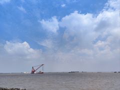 -上海滨江森林公园