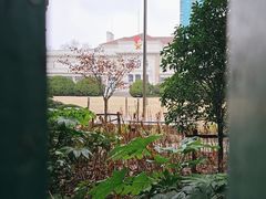 -中国福利会少年宫