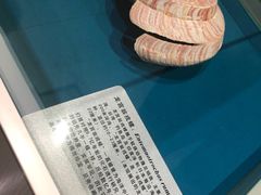 -青岛贝壳博物馆