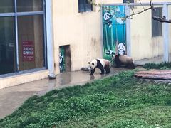 -西安秦岭野生动物园