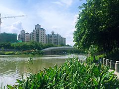 -怡海公园(桂城街道)