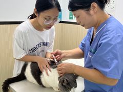 -瑞派宠物医院(搏威敦和院)