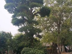 -武汉紫薇都市田园