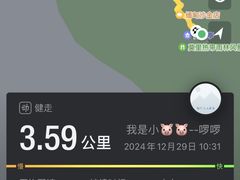 -莫里热带雨林景区