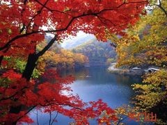 -龙道沟景区