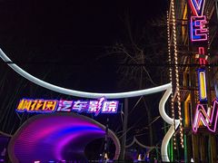 -枫花园汽车电影院(朝阳公园店)