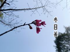 -广州市白云山风景名胜区